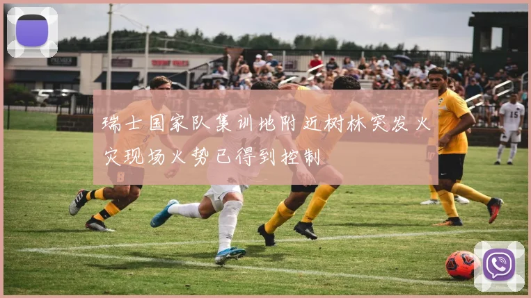 瑞士国家队集训地附近树林突发火灾现场火势已得到控制